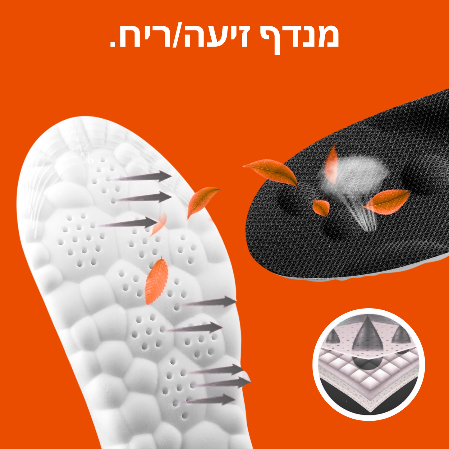 מדרסי ענן